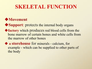 SKELETAL FUNCTION
Movement
Support: protects the internal body organs
factory which produces red blood cells from the
bone marrow of certain bones and white cells from
the marrow of other bones
 a storehouse for minerals - calcium, for
example - which can be supplied to other parts of
the body
 