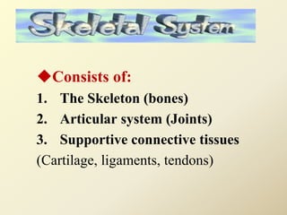 Consists of:
1. The Skeleton (bones)
2. Articular system (Joints)
3. Supportive connective tissues
(Cartilage, ligaments, tendons)
 