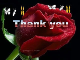 Musculoskeletal assessment