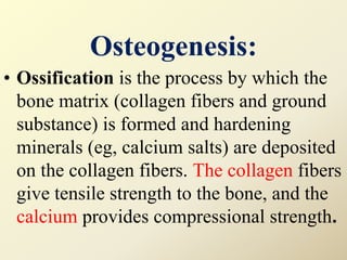 Osteogenesis:
• Ossification is the process by which the
bone matrix (collagen fibers and ground
substance) is formed and hardening
minerals (eg, calcium salts) are deposited
on the collagen fibers. The collagen fibers
give tensile strength to the bone, and the
calcium provides compressional strength.
 