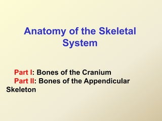 Anatomy of the Skeletal
System
Part I: Bones of the Cranium
Part II: Bones of the Appendicular
Skeleton
 