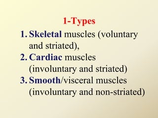1-Types
1. Skeletal muscles (voluntary
and striated),
2. Cardiac muscles
(involuntary and striated)
3. Smooth/visceral muscles
(involuntary and non-striated)
 