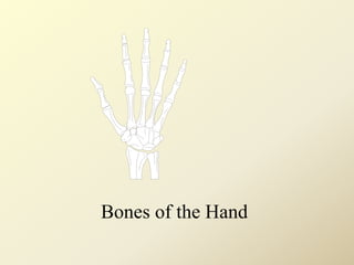 Bones of the Hand
 