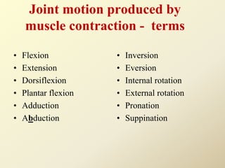 Joint motion produced by
muscle contraction - terms
• Flexion
• Extension
• Dorsiflexion
• Plantar flexion
• Adduction
• Abduction
• Inversion
• Eversion
• Internal rotation
• External rotation
• Pronation
• Suppination
 