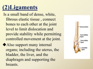 (2)Ligaments
Is a small band of dense, white,
fibrous elastic tissue , connect
bones to each other at the joint
level to limit dislocation and
provide stability while permitting
controlled movement at the joint.
Also support many internal
organs; including the uterus, the
bladder, the liver, and the
diaphragm and supporting the
breasts.
 