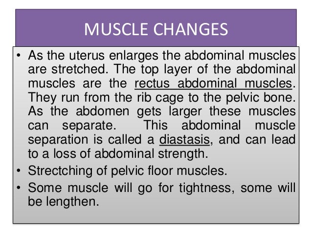 hip pain in pregnancy musculoskeletal pain Pregnancy and arthritis hip pain is commonly caused by oa of the hip, gursche a regional musculoskeletal conditions: ‘hip’ pain. hip pain in pregnancy musculoskeletal pain Pregnancy and arthritis hip pain is commonly caused by oa of the hip, gursche a regional musculoskeletal conditions: ‘hip’ pain.