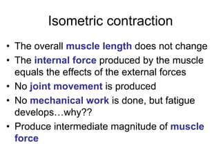 Isometric contraction
• The overall muscle length does not change
• The internal force produced by the muscle
equals the effects of the external forces
• No joint movement is produced
• No mechanical work is done, but fatigue
develops…why??
• Produce intermediate magnitude of muscle
force
 