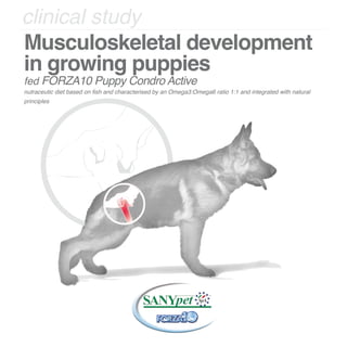 Musculoskeletal development
in growing puppies
fed FORZA10 Puppy Condro Active
nutraceutic diet based on fish and characterised by an Omega3:Omega6 ratio 1:1 and integrated with natural
principles
clinical study
 