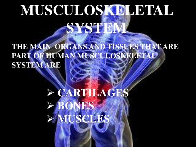 Austin Journal of Musculoskeletal Disorders