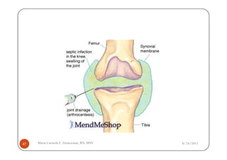 47   Maria Carmela L. Domocmat, RN, MSN   8/24/2011
 