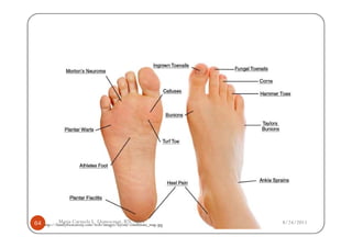 64           Maria Carmela L. Domocmat, RN, MSN
     http://familyfootcarenj.com/web/images/layout/conditions_map.jpg   8/24/2011
 