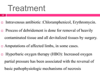 Treatment
 Intravenous antibiotic :Chloramphenicol, Erythromycin.
 Process of debridement is done for removal of heavily
contaminated tissue and all devitalized tissues by surgery.
 Amputations of affected limbs, in some cases.
 Hyperbaric oxygen therapy (HBO): Increased oxygen
partial pressure has been associated with the reversal of
basic pathophysiologic mechanisms of necrosis
187
 