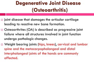 Degenerative Joint Disease
(Osteoarthritis)
 joint disease that damages the articular cartilage
leading to reactive new bone formation.
 Osteoarthrites (OA) is described as progressive joint
failure where all structures involved in joint function
undergo pathologic changes.
 Weight bearing joints (hips, knees), cervical and lumbar
spine and the metacarpophalangeal and distal
interphalangeal joints of the hands are commonly
affected.
 