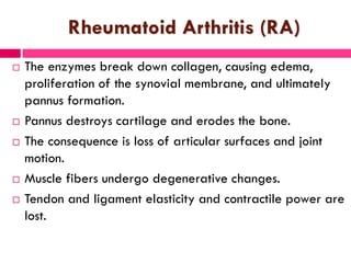 Rheumatoid Arthritis (RA)
 The enzymes break down collagen, causing edema,
proliferation of the synovial membrane, and ultimately
pannus formation.
 Pannus destroys cartilage and erodes the bone.
 The consequence is loss of articular surfaces and joint
motion.
 Muscle fibers undergo degenerative changes.
 Tendon and ligament elasticity and contractile power are
lost.
 