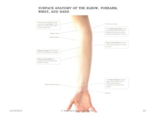 11/14/2019 K. Soundararajan, MPT, SRIHER 63
 
