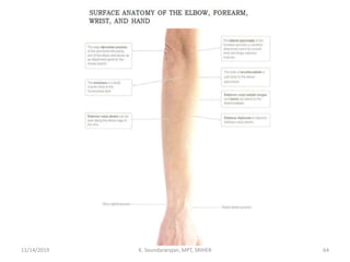 11/14/2019 K. Soundararajan, MPT, SRIHER 64
 