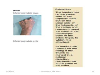 11/14/2019 K. Soundararajan, MPT, SRIHER 80
 