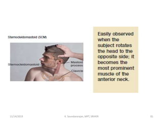 11/14/2019 K. Soundararajan, MPT, SRIHER 81
 