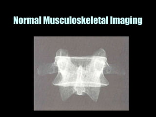 Musculoskeletal Imaging 09