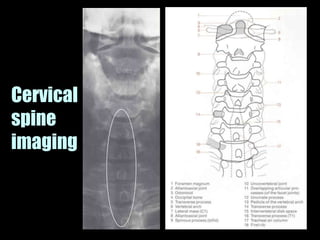 Musculoskeletal Imaging 09