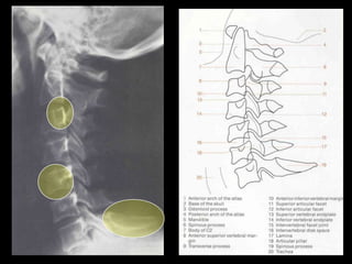 Musculoskeletal Imaging 09