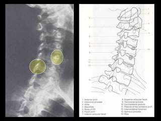 Musculoskeletal Imaging 09