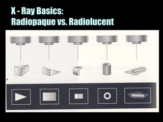 Musculoskeletal Imaging 09