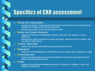 Musculoskeletal Imaging 09