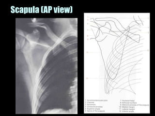 Musculoskeletal Imaging 09