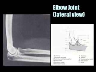 Musculoskeletal Imaging 09