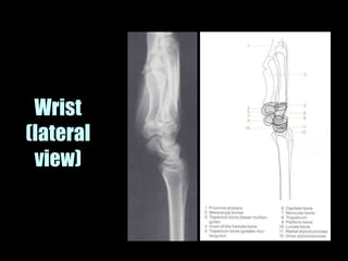 Musculoskeletal Imaging 09