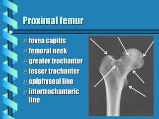 Musculoskeletal Imaging 09
