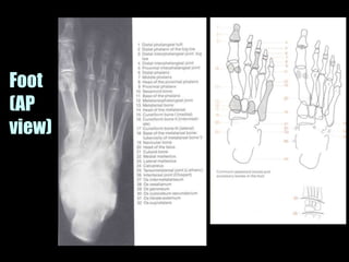 Musculoskeletal Imaging 09