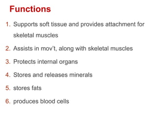 Functions
1. Supports soft tissue and provides attachment for
skeletal muscles
2. Assists in mov’t, along with skeletal muscles
3. Protects internal organs
4. Stores and releases minerals
5. stores fats
6. produces blood cells
 