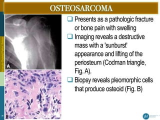 Musculoskeletal Pathology_2022-3_Assoc. Prof. Belson_compressed.pdf