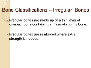 Bone Classifications – Irregular Bones
    Irregular bones are made up of a thin layer of
     compact bone containing a mass of spongy bone.

    Irregular bones are reinforced where extra
     strength is needed.
 