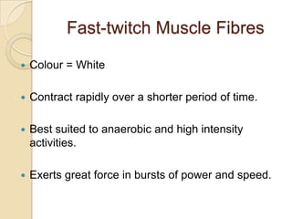 Fast-twitch Muscle Fibres

   Colour = White

   Contract rapidly over a shorter period of time.

   Best suited to anaerobic and high intensity
    activities.

   Exerts great force in bursts of power and speed.
 