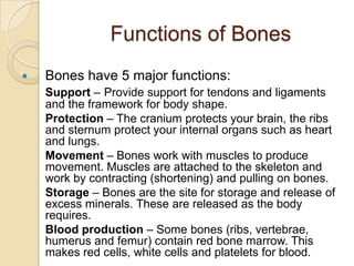 Functions of Bones
   Bones have 5 major functions:
    Support – Provide support for tendons and ligaments
    and the framework for body shape.
    Protection – The cranium protects your brain, the ribs
    and sternum protect your internal organs such as heart
    and lungs.
    Movement – Bones work with muscles to produce
    movement. Muscles are attached to the skeleton and
    work by contracting (shortening) and pulling on bones.
    Storage – Bones are the site for storage and release of
    excess minerals. These are released as the body
    requires.
    Blood production – Some bones (ribs, vertebrae,
    humerus and femur) contain red bone marrow. This
    makes red cells, white cells and platelets for blood.
 