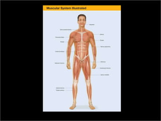 Copyright ©2009 by Pearson Education, Inc.
Medical Terminology: A Living Language, Fourth Edition       Upper Saddle River, New Jersey 07458
                                                                                           130
Bonnie F. Fremgen and Suzanne S. Frucht                                          All rights reserved.
 