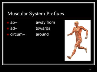 Muscular System Prefixes
    ab–                                   away from
    ad–                                   towards
    circum–                               around




    Medical Terminology: A Living Language, Fourth Edition
                                                             134
    Bonnie F. Fremgen and Suzanne S. Frucht
 