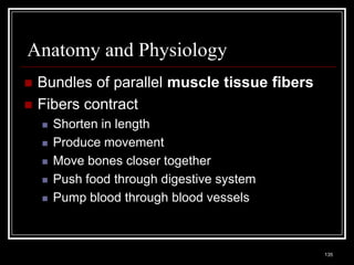 Anatomy and Physiology
    Bundles of parallel muscle tissue fibers
    Fibers contract
          Shorten in length
          Produce movement
          Move bones closer together
          Push food through digestive system
          Pump blood through blood vessels


    Medical Terminology: A Living Language, Fourth Edition
                                                             135
    Bonnie F. Fremgen and Suzanne S. Frucht
 