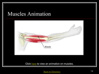 Muscles Animation




                      Click here to view an animation on muscles.

Medical Terminology: A Living Language, Fourth Edition
                                                                        136
Bonnie F. Fremgen and Suzanne S. Frucht         Back     to Directory
 