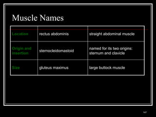 Muscle Names
Location               rectus abdominis                   straight abdominal muscle


Origin and                                                named for its two origins:
                       sternocleidomastoid
insertion                                                 sternum and clavicle


Size                   gluteus maximus                    large buttock muscle




 Medical Terminology: A Living Language, Fourth Edition
                                                                                       147
 Bonnie F. Fremgen and Suzanne S. Frucht
 