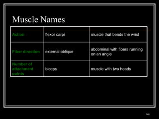 Muscle Names
Action                      flexor carpi                  muscle that bends the wrist


                                                          abdominal with fibers running
Fiber direction             external oblique
                                                          on an angle

Number of
attachment                  biceps                        muscle with two heads
points




 Medical Terminology: A Living Language, Fourth Edition
                                                                                          148
 Bonnie F. Fremgen and Suzanne S. Frucht
 