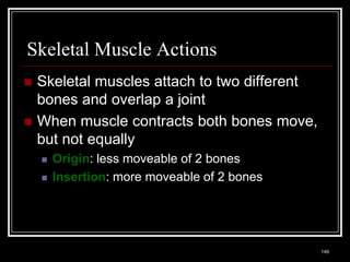 Skeletal Muscle Actions
    Skeletal muscles attach to two different
     bones and overlap a joint
    When muscle contracts both bones move,
     but not equally
          Origin: less moveable of 2 bones
          Insertion: more moveable of 2 bones




    Medical Terminology: A Living Language, Fourth Edition
                                                             149
    Bonnie F. Fremgen and Suzanne S. Frucht
 