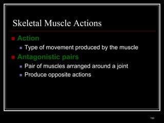 Skeletal Muscle Actions
    Action
          Type of movement produced by the muscle
    Antagonistic pairs
          Pair of muscles arranged around a joint
          Produce opposite actions




    Medical Terminology: A Living Language, Fourth Edition
                                                             150
    Bonnie F. Fremgen and Suzanne S. Frucht
 