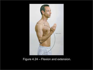 Figure 4.24 – Flexion and extension.
                                                         Copyright ©2009 by Pearson Education, Inc.
Medical Terminology: A Living Language, Fourth Edition       Upper Saddle River, New Jersey 07458
                                                                                           155
Bonnie F. Fremgen and Suzanne S. Frucht                                          All rights reserved.
 
