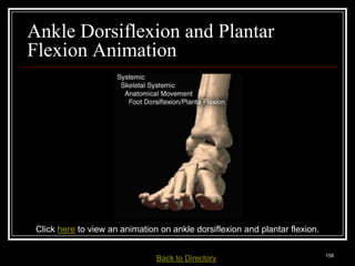 Ankle Dorsiflexion and Plantar
Flexion Animation




 Click here to view an animation on ankle dorsiflexion and plantar flexion.

Medical Terminology: A Living Language, Fourth Edition
                                                                              158
Bonnie F. Fremgen and Suzanne S. Frucht         Back     to Directory
 