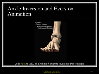 Ankle Inversion and Eversion
Animation




       Click here to view an animation of ankle inversion and eversion.

Medical Terminology: A Living Language, Fourth Edition
                                                                          161
Bonnie F. Fremgen and Suzanne S. Frucht         Back     to Directory
 