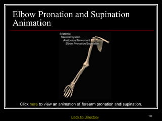 Elbow Pronation and Supination
Animation




   Click here to view an animation of forearm pronation and supination.

Medical Terminology: A Living Language, Fourth Edition
                                                                          163
Bonnie F. Fremgen and Suzanne S. Frucht         Back     to Directory
 